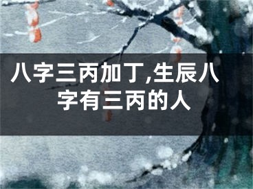 八字三丙加丁,生辰八字有三丙的人
