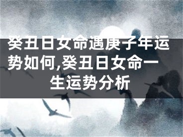 癸丑日女命遇庚子年运势如何,癸丑日女命一生运势分析