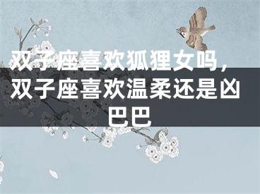 双子座喜欢狐狸女吗，双子座喜欢温柔还是凶巴巴