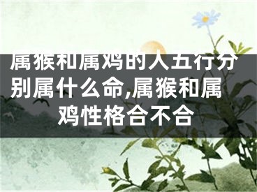 属猴和属鸡的人五行分别属什么命,属猴和属鸡性格合不合