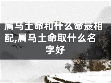 属马土命和什么命最相配,属马土命取什么名字好