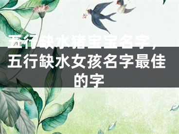 五行缺水猪宝宝名字,五行缺水女孩名字最佳的字