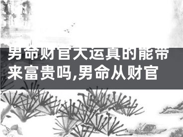 男命财官大运真的能带来富贵吗,男命从财官