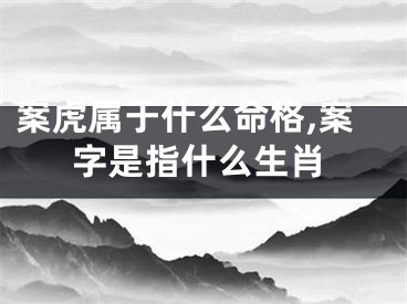 案虎属于什么命格,案字是指什么生肖