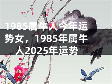 1985属牛人今年运势女，1985年属牛人2025年运势