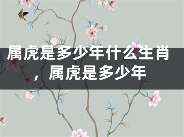 属虎是多少年什么生肖,属虎是多少年