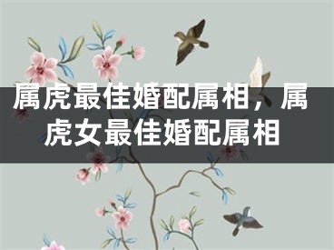 属虎最佳婚配属相，属虎女最佳婚配属相
