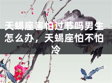 天蝎座害怕过节吗男生怎么办，天蝎座怕不怕冷
