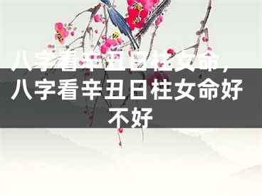 八字看辛丑日柱女命，八字看辛丑日柱女命好不好