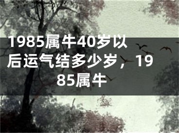 1985属牛40岁以后运气结多少岁，1985属牛
