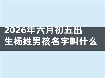 2026年六月初五出生杨姓男孩名字叫什么