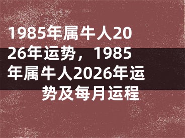 1985年属牛人2026年运势，1985年属牛人2026年运势及每月运程