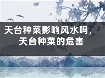 天台种菜影响风水吗，天台种菜的危害