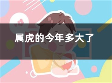 属虎的今年多大了