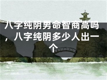 八字纯阴男命智商高吗，八字纯阴多少人出一个