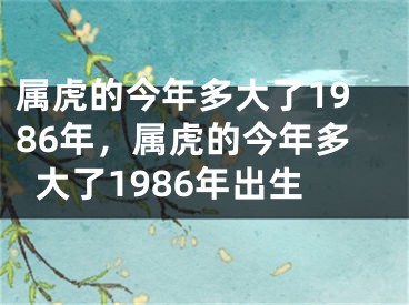 属虎的今年多大了1986年，属虎的今年多大了1986年出生