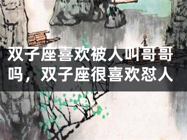 双子座喜欢被人叫哥哥吗,双子座很喜欢怼人
