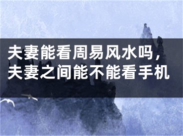 夫妻能看周易风水吗，夫妻之间能不能看手机