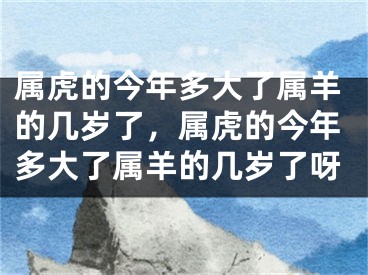 属虎的今年多大了属羊的几岁了,属虎的今年多大了属羊的几岁了呀