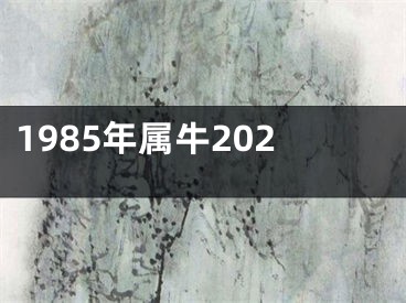 1985年属牛202