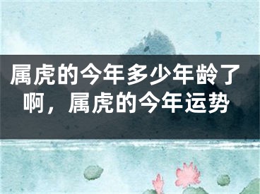 属虎的今年多少年龄了啊，属虎的今年运势