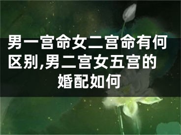 男一宫命女二宫命有何区别,男二宫女五宫的婚配如何