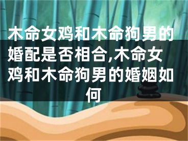 木命女鸡和木命狗男的婚配是否相合,木命女鸡和木命狗男的婚姻如何