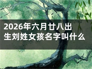 2026年六月廿八出生刘姓女孩名字叫什么