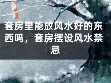 套房里能放风水好的东西吗，套房摆设风水禁忌