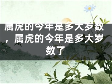 属虎的今年是多大岁数，属虎的今年是多大岁数了