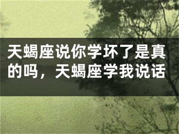 天蝎座说你学坏了是真的吗,天蝎座学我说话