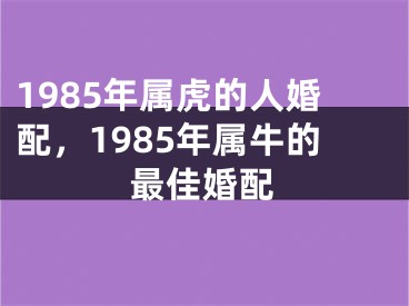 1985年属虎的人婚配,1985年属牛的最佳婚配