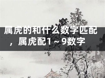属虎的和什么数字匹配，属虎配1～9数字