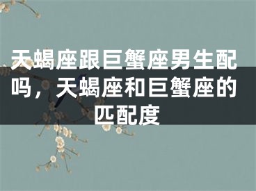 天蝎座跟巨蟹座男生配吗，天蝎座和巨蟹座的匹配度