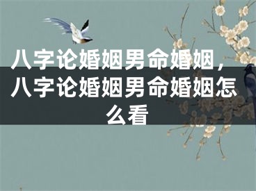 八字论婚姻男命婚姻,八字论婚姻男命婚姻怎么看