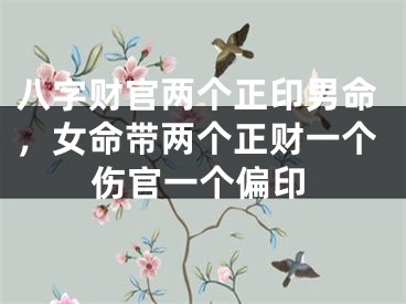 八字财官两个正印男命，女命带两个正财一个伤官一个偏印
