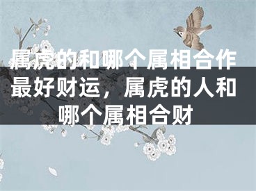 属虎的和哪个属相合作最好财运,属虎的人和哪个属相合财