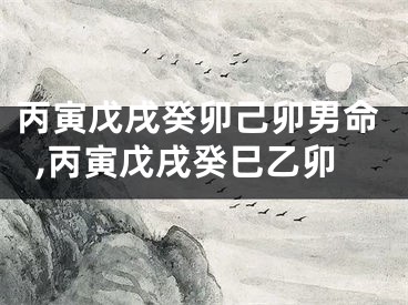 丙寅戊戌癸卯己卯男命,丙寅戊戌癸巳乙卯