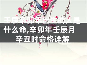 壬辰辛卯年出生的人是什么命,辛卯年壬辰月辛丑时命格详解