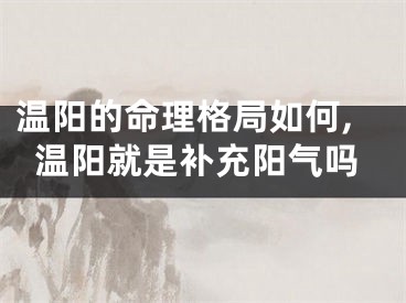 温阳的命理格局如何,温阳就是补充阳气吗
