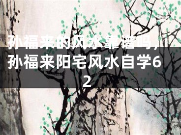 孙福来的风水靠谱吗，孙福来阳宅风水自学62