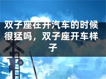双子座在开汽车的时候很猛吗,双子座开车样子