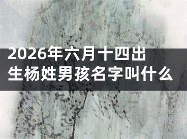 2026年六月十四出生杨姓男孩名字叫什么