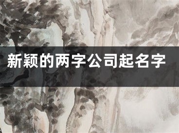 新颖的两字公司起名字