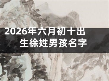2026年六月初十出生徐姓男孩名字