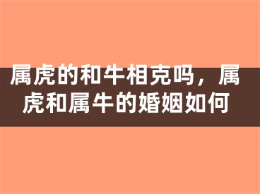 属虎的和牛相克吗,属虎和属牛的婚姻如何