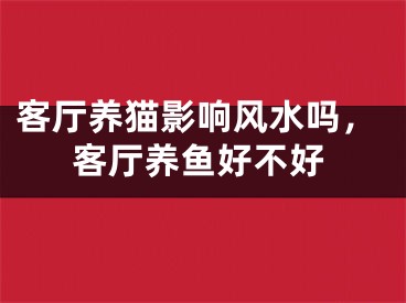 客厅养猫影响风水吗，客厅养鱼好不好
