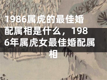 1986属虎的最佳婚配属相是什么,1986年属虎女最佳婚配属相
