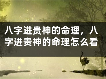 八字进贵神的命理,八字进贵神的命理怎么看