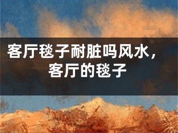 客厅毯子耐脏吗风水，客厅的毯子